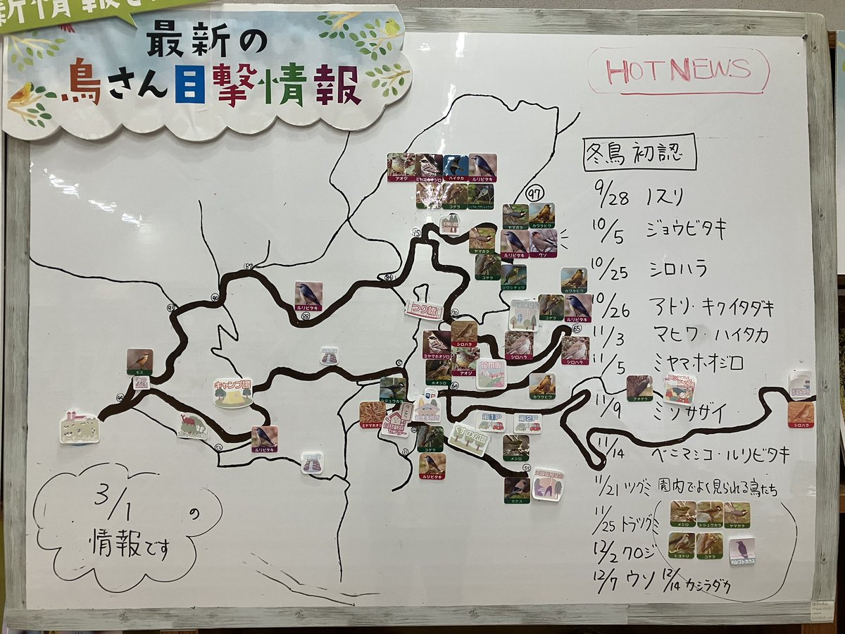 🐤野鳥情報更新しました🐤

12月の初認以来、すっかりご無沙汰だったウソの目撃情報が届きました！
この写真のどこかにウソがいます。気になる方は探してみてください♪

冬鳥シーズンもいよいよ後半！です。

＃油山