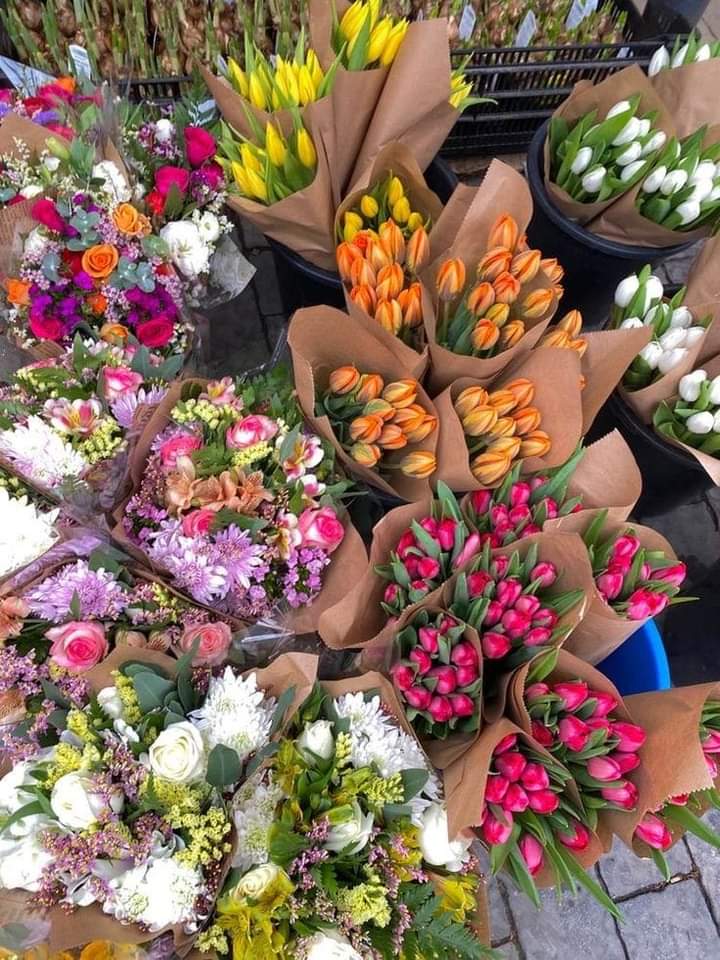 fresh flowers
