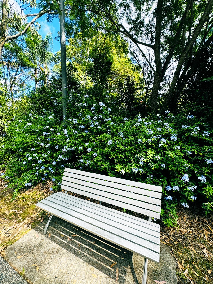 Ямар хөөрхөн цэцэгтэй автобусны буудал вээ