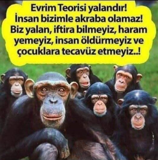 Yalan, talan, iftira, sahtekarlık ve körlüğü yaşam felsefesi haline getirenler, hayvan bile olamaz.. 
#İslam