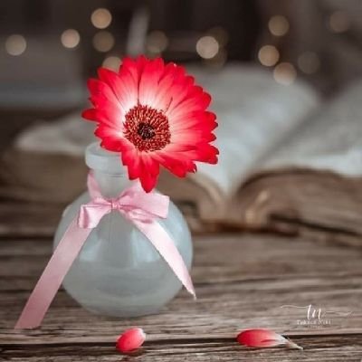 Thanks for being such an amazing friend, bro. Thanks for the insightful content. It's been enlightening! Rosamaria Amboree