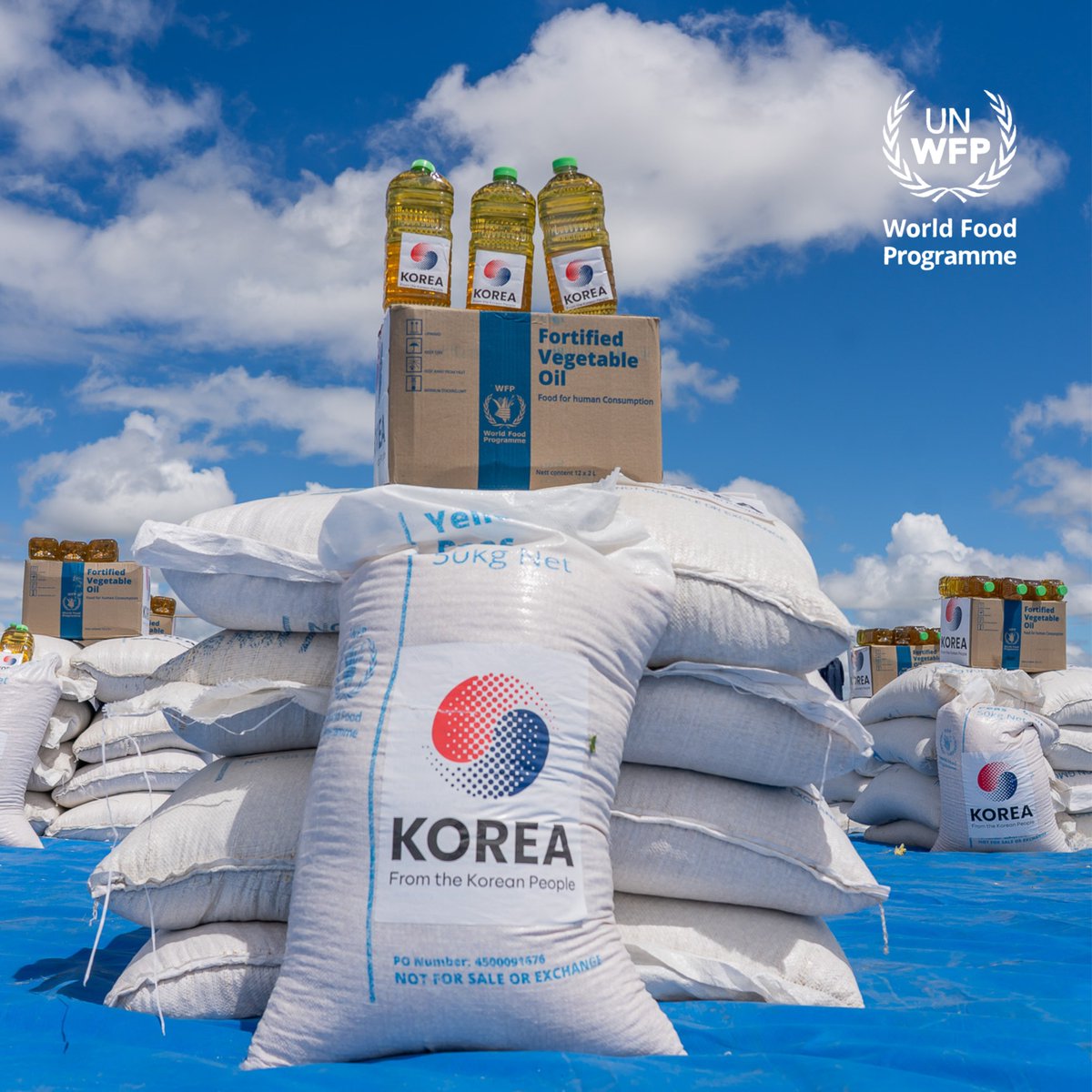 WFP Zimbabwe (@wfp_zimbabwe) on Twitter photo Thanks to <a href="/Kor_Emb_Zim/">Korean Embassy in Zimbabwe</a>, <a href="/WFP/">World Food Programme</a> is providing food assistance to 46,000 people in Shurugwi District during the peak of the lean season.
This support is part of our wider Lean Season Assistance programme, reaching over 985,000 people across nine districts in 🇿🇼.
Mazvita
Siyabonga Thanks to <a href="/Kor_Emb_Zim/">Korean Embassy in Zimbabwe</a>, <a href="/WFP/">World Food Programme</a> is providing food assistance to 46,000 people in Shurugwi District during the peak of the lean season.
This support is part of our wider Lean Season Assistance programme, reaching over 985,000 people across nine districts in 🇿🇼.
Mazvita
Siyabonga