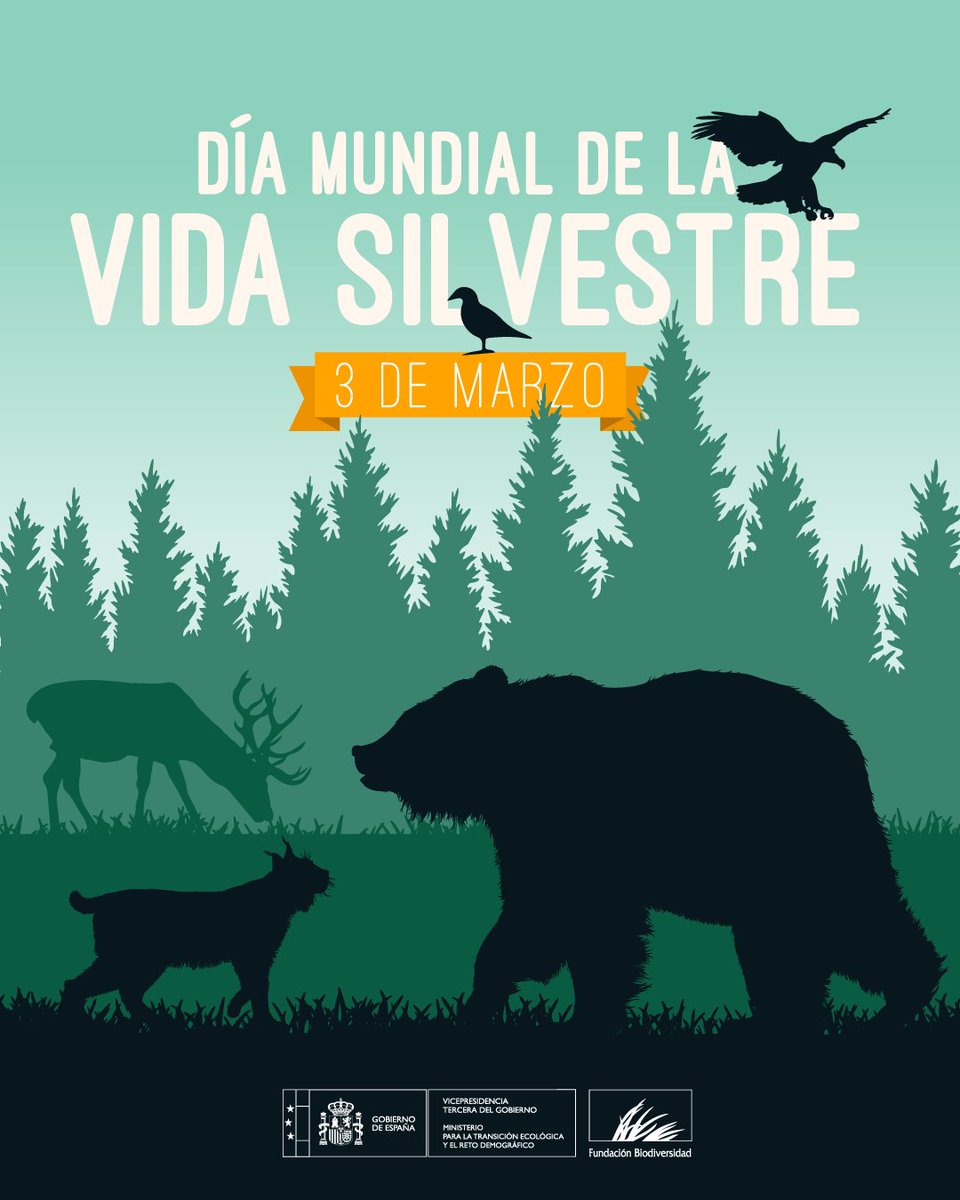 ⚠️ La tasa de extinción de especies animales 🐨 y vegetales 🌵 se ha acelerado de tal manera que 1 millón de las 8 conocidas podría desaparecer ⌛️ en cuestión de décadas.

Es necesario adoptar medidas para frenar la pérdida de #biodiversidad.

#DíaMundialDeLaVidaSilvestre
