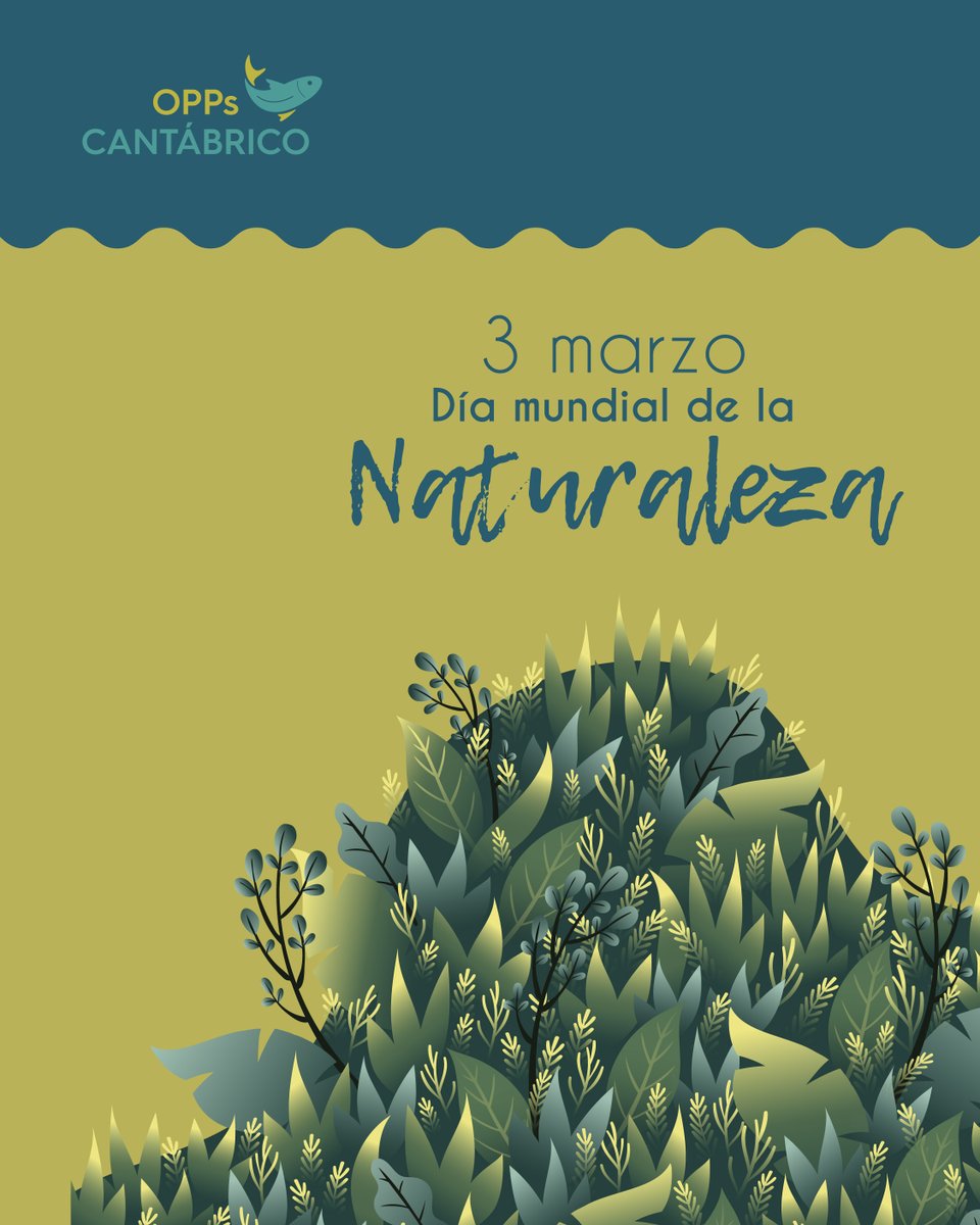 OPPs Cantábrico tweet media