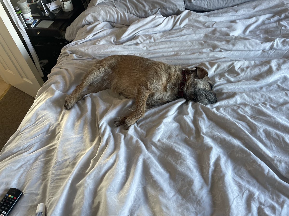 Mary Briggs tweet media