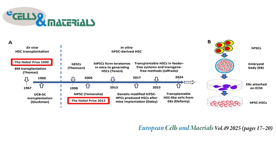 👏Check eCM latest articles: The eve of a historic breakthrough in the realm of human pluripotent stem cell-derived haematopoietic stem cells

B Chen, PY Wang

ecmjournal.org/papers/vol049/…

#StemCells #TissueEngineering #Biomaterials