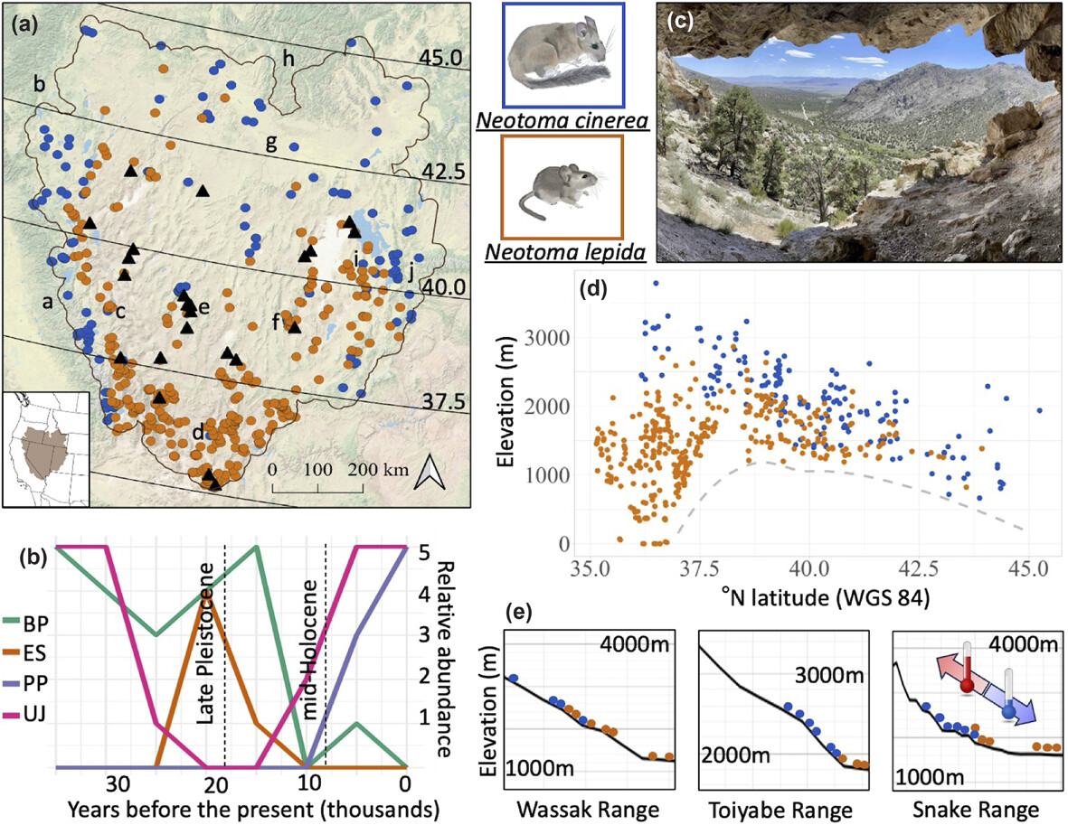 Ecography (@ecographyjourna) on Twitter photo The role of climate and species interactions in determining the distribution of two elevationally segregated species of small mammals through time nsojournals.onlinelibrary.wiley.com/doi/10.1111/ec…
#Mammals #SDM #ClimateChange @ecography.bsky.social <a href="/NordicOikos/">Nordic Society Oikos</a> <a href="/WileyEcolEvol/">Wiley Ecology & Evolution</a> The role of climate and species interactions in determining the distribution of two elevationally segregated species of small mammals through time nsojournals.onlinelibrary.wiley.com/doi/10.1111/ec…
#Mammals #SDM #ClimateChange @ecography.bsky.social <a href="/NordicOikos/">Nordic Society Oikos</a> <a href="/WileyEcolEvol/">Wiley Ecology & Evolution</a>