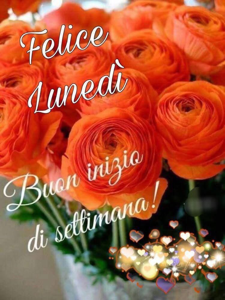 RITABIANCHi56 tweet media