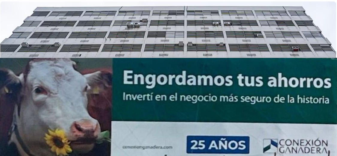 Felipe Caorsi tweet media