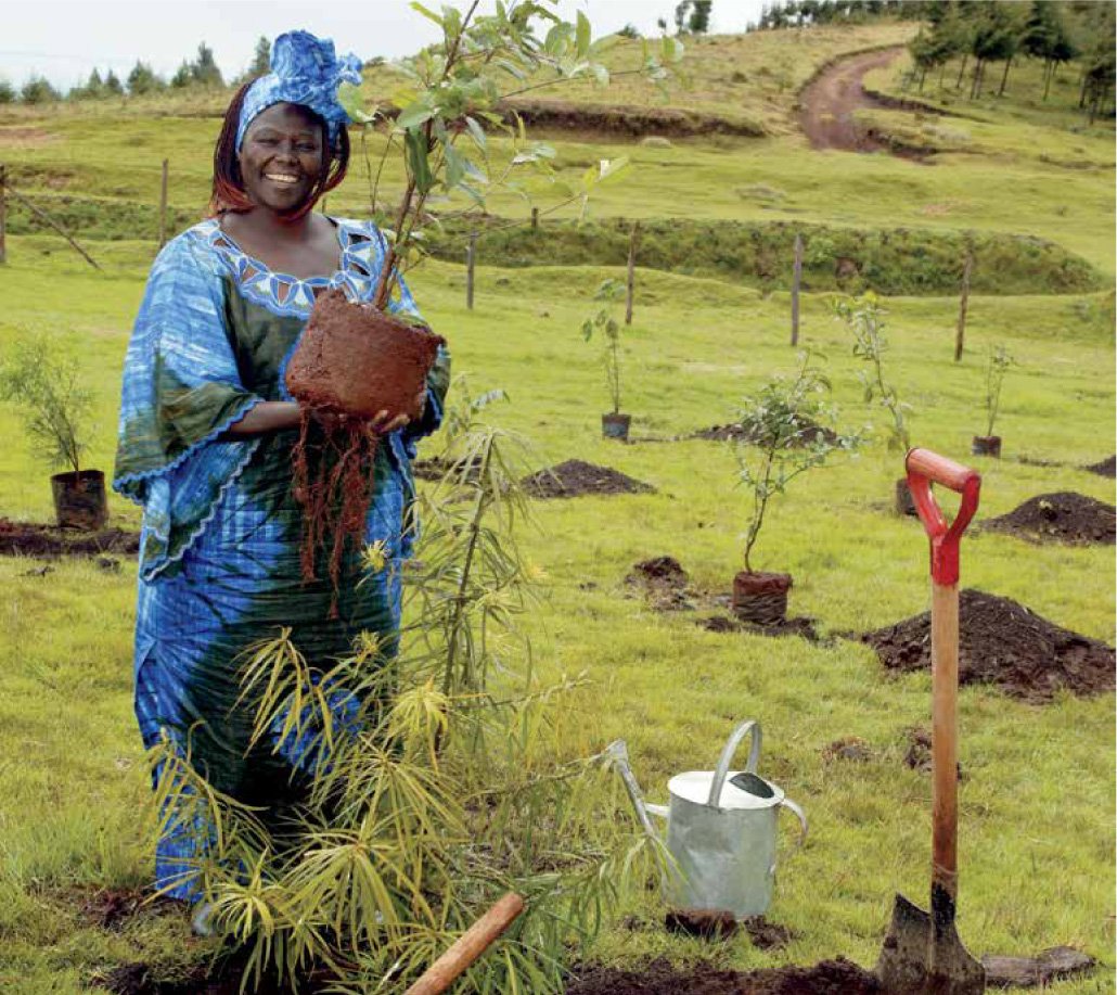 mukuru_cjc's tweet photo. "Human rights are not things that are put on the table for people to enjoy. These are things you fight for and then you protect."  Wangari mathaai 

 Let's remember the famous wangari mathaai quote that inspires our organizing for social change. 

#WangariMaathaiDay https://t.co/PFJDfeTJ3s