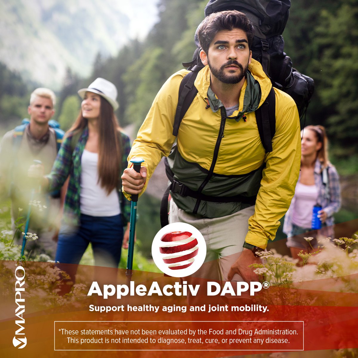 MayproGroup's tweet image. AppleActiv DAPP® is a 100% organically sourced ingredient.

 A 12-week pilot human clinical study found that Appleactiv:
    •  Supports joint comfort
    •  Encourages healthy range of motion
    •  Promotes healthy joint function

Ask us about formulating with AppleActiv.
