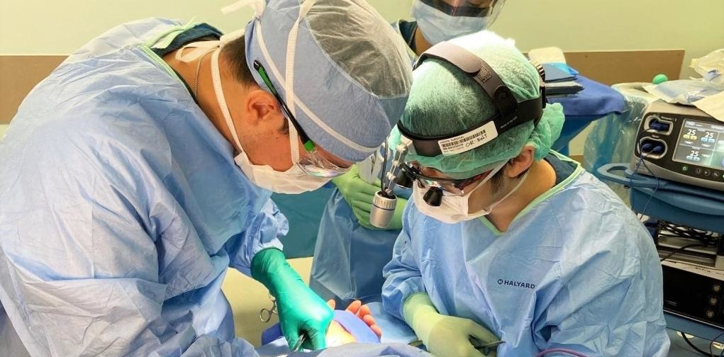 St. Luke's Health MD (@stlukeshealthmd) on Twitter photo The microvascular free flap reconstructive surgery program at <a href="/BCM_Oto/">BCM Otolaryngology</a> led by three of our reconstructive surgeons is optimizing cosmetic and functional outcomes for advanced head and neck cancer patients. <a href="/StLukesHealthTX/">St. Luke's Health</a> <a href="/bcmhouston/">BCMHouston</a> #ENTTwitter
ow.ly/5qpx50V3KuO The microvascular free flap reconstructive surgery program at <a href="/BCM_Oto/">BCM Otolaryngology</a> led by three of our reconstructive surgeons is optimizing cosmetic and functional outcomes for advanced head and neck cancer patients. <a href="/StLukesHealthTX/">St. Luke's Health</a> <a href="/bcmhouston/">BCMHouston</a> #ENTTwitter
ow.ly/5qpx50V3KuO