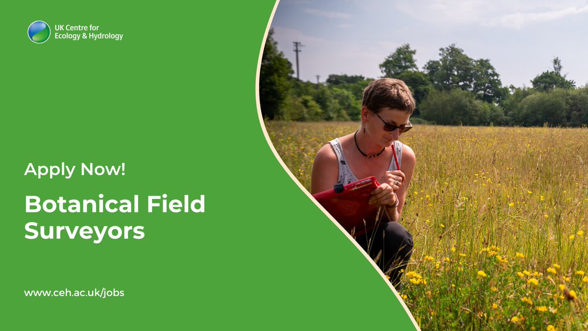 📣 We're hiring! Apply by 10 March to join our national survey team as a Field Botanist/Botanical Surveyor across England this summer.

🌿 5 x full-time roles (May–Sept 2025)
🔬 Help monitor biodiversity for <a href="/DefraGovUK/">Defra UK</a>  &amp; <a href="/NaturalEngland/">Natural England</a>

Details ⬇️
ceh.wd3.myworkdayjobs.com/en-US/CEH_Care…