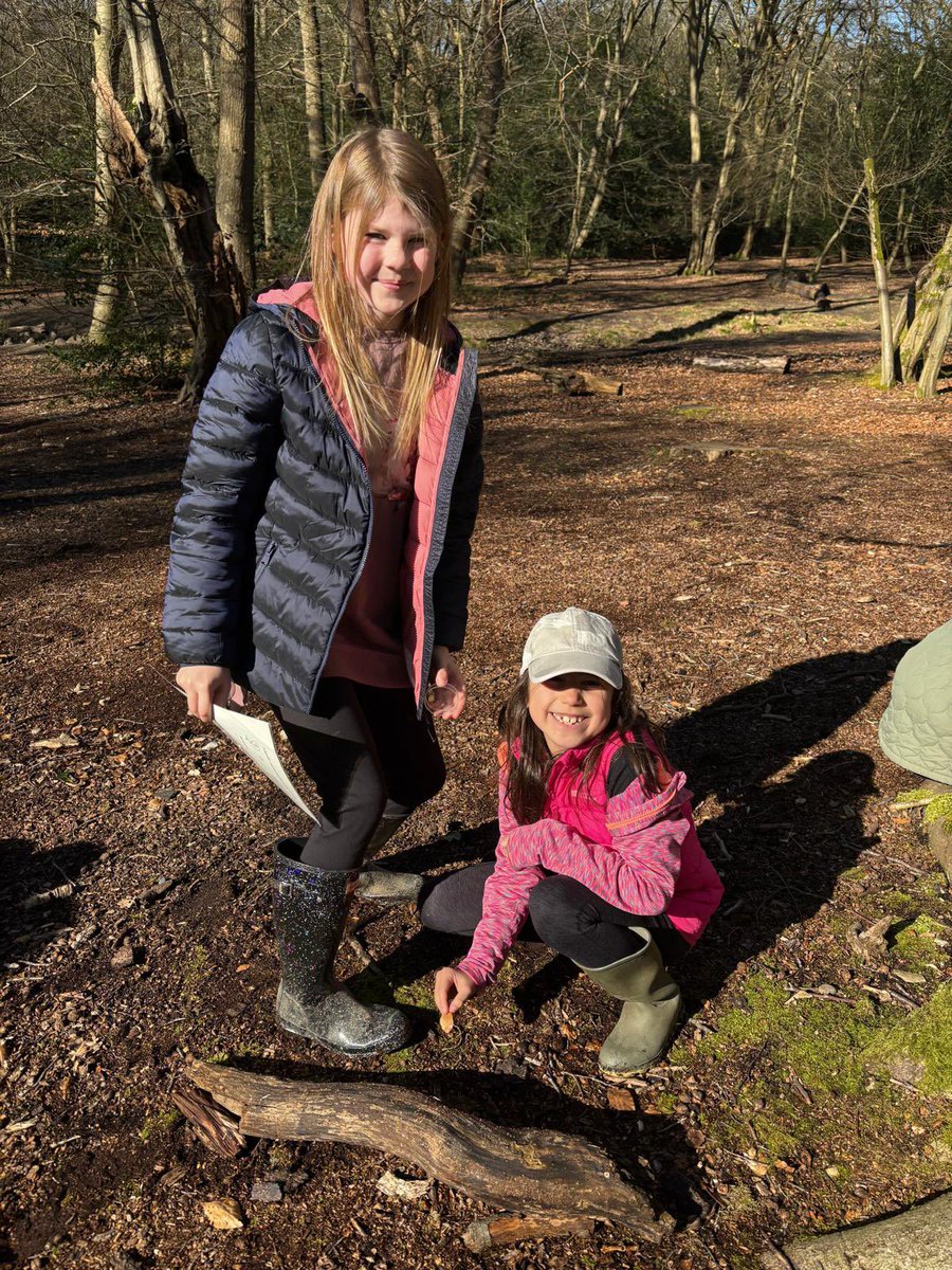 Year 4 have also loved exploring the forest <a href="/TheHive_Suntrap/">The Hive</a> 🌳☀️