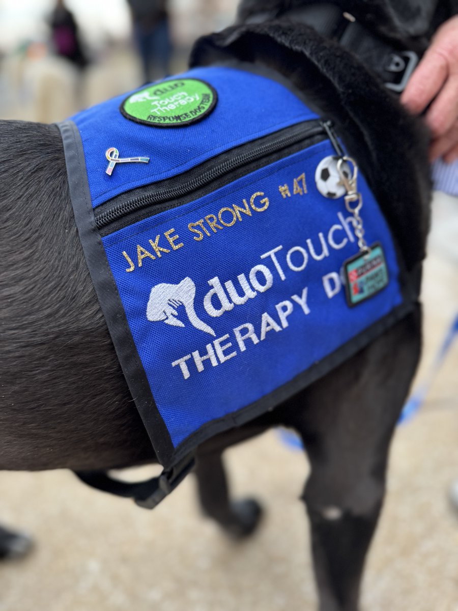 WeAreChaminade's tweet photo. A calming and uplifting start to a tough week, thanks to Purina and Duo Dogs for bringing their furry friends to lift our spirits! These amazing dogs will visit both the middle and high schools today. Huge thanks to our counselors for making this happen! #EstoVir #47Strong https://t.co/ykfujpiQxu