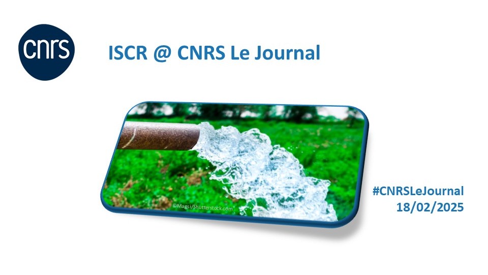 ISCR (@chimie_iscr) on Twitter photo Treated wastewater: an underexploited source
#ISCR at #CNRSLeJournal
➡️iscr.univ-rennes.fr/treated-wastew…
🤝 <a href="/CNRS/">CNRS 🌍</a> <a href="/CNRSchimie/">CNRS Chimie</a> <a href="/CNRS_dr17/">CNRS Bretagne et Pays de la Loire</a> <a href="/RennesUniv/">Université de Rennes</a> <a href="/ENSCR/">ENSCR</a> <a href="/INSA_Rennes/">INSA Rennes</a> Treated wastewater: an underexploited source
#ISCR at #CNRSLeJournal
➡️iscr.univ-rennes.fr/treated-wastew…
🤝 <a href="/CNRS/">CNRS 🌍</a> <a href="/CNRSchimie/">CNRS Chimie</a> <a href="/CNRS_dr17/">CNRS Bretagne et Pays de la Loire</a> <a href="/RennesUniv/">Université de Rennes</a> <a href="/ENSCR/">ENSCR</a> <a href="/INSA_Rennes/">INSA Rennes</a>