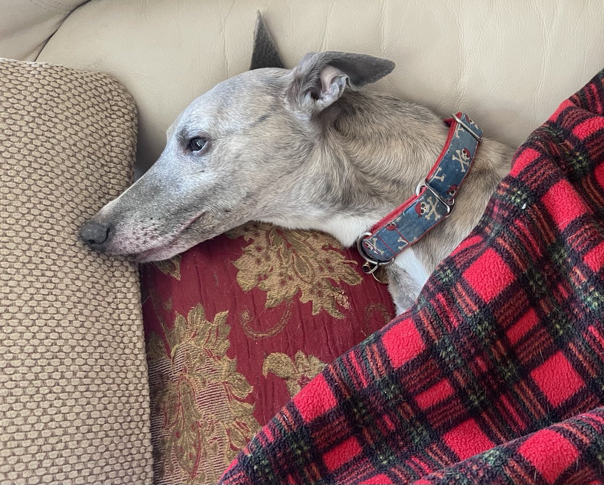 Kai 🌈& Co tweet media