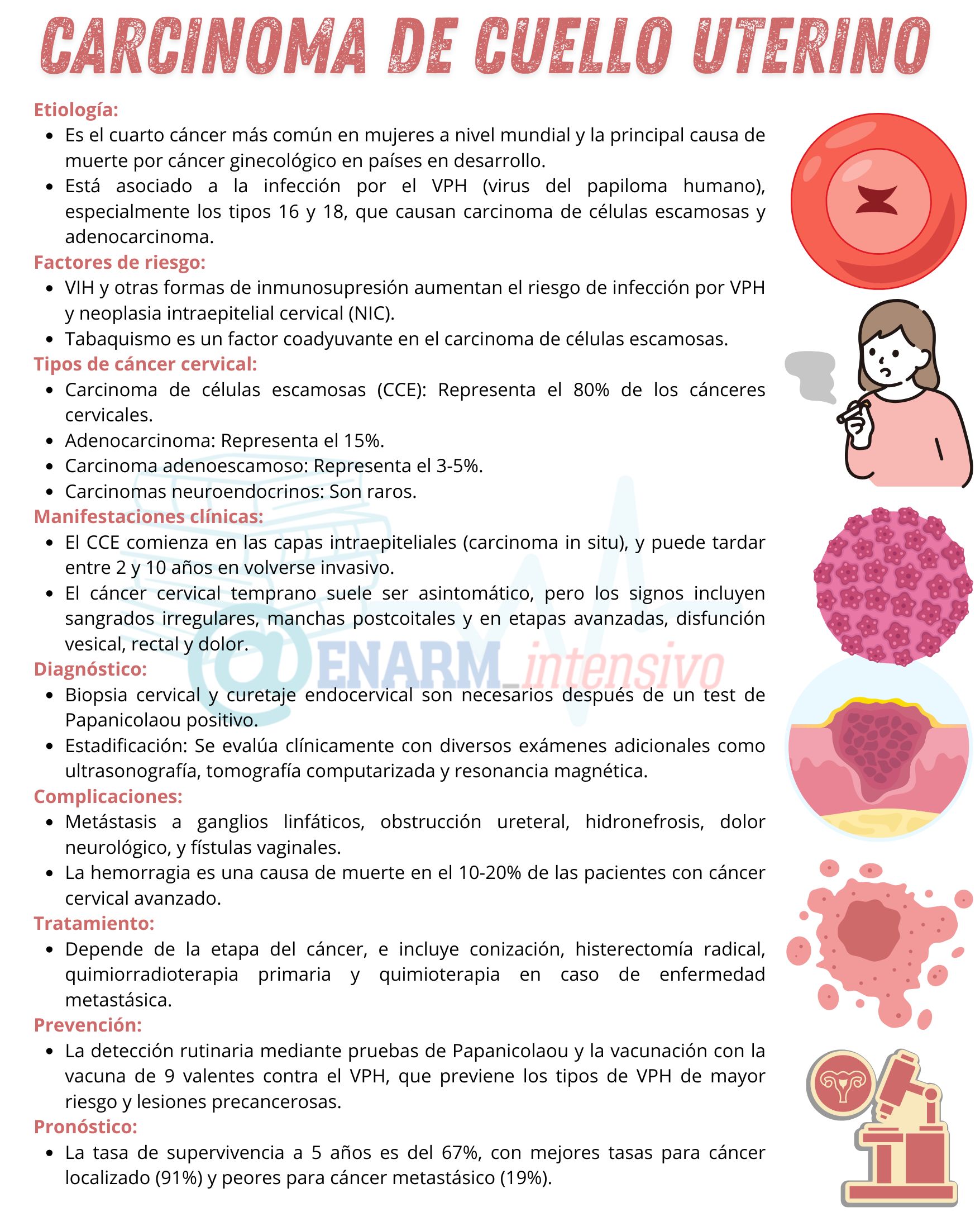 🌀TARJETA DE REPASO: CARCINOMA DE CUELLO UTERINO