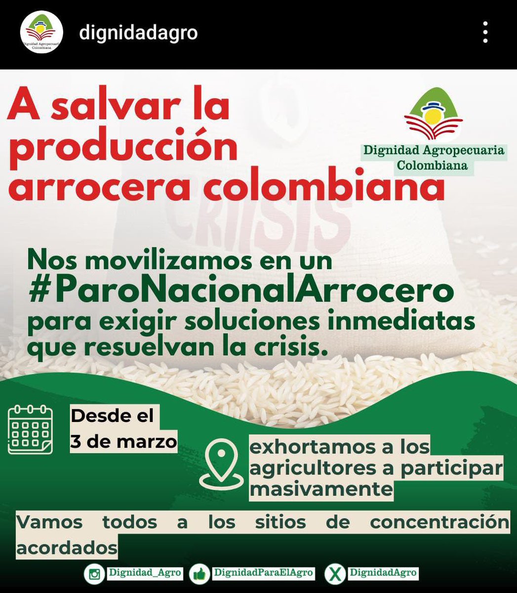 Dignidad_Agro's tweet photo. Primeras imagenes y videos de la movilización, paro de arroceros, en Saldaña, Tolima. 
Poco a poco se va cuajando la movilización de los productores del cereal para exigir soluciones reales a sus problemas. 

El pliego presentado al gobierno nacional debe ser atendido y resuelto.

Esperamos se adelanten conversaciones que resuelvan un precio justo, remunerativo y estable.
No mas importaciones y salvaguardas para la producción nacional y renegociación de los TLC.