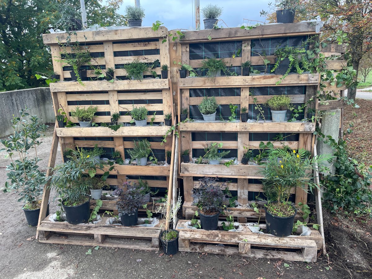 Join the "Youth Climate Action" call for proposals 🌏 

<a href="/twitorino/">Città di Torino</a> funds projects by 15-24 y/o to fight climate change! 💡

🚲 Mobility ♻️ Circular economy ⚡ Energy 🌿 Green solutions

🗓️ Apply by April 11, 2025!
🔎 More info: bit.ly/4bmgzj5

#TSIecosistema