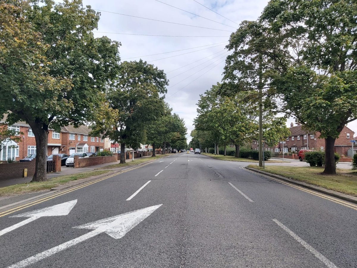 Trees for Streets tweet media