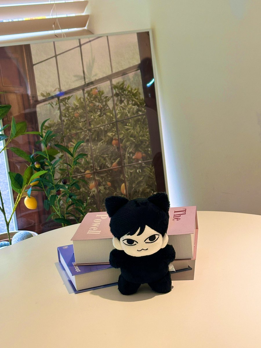 カフェ巡り☕✧