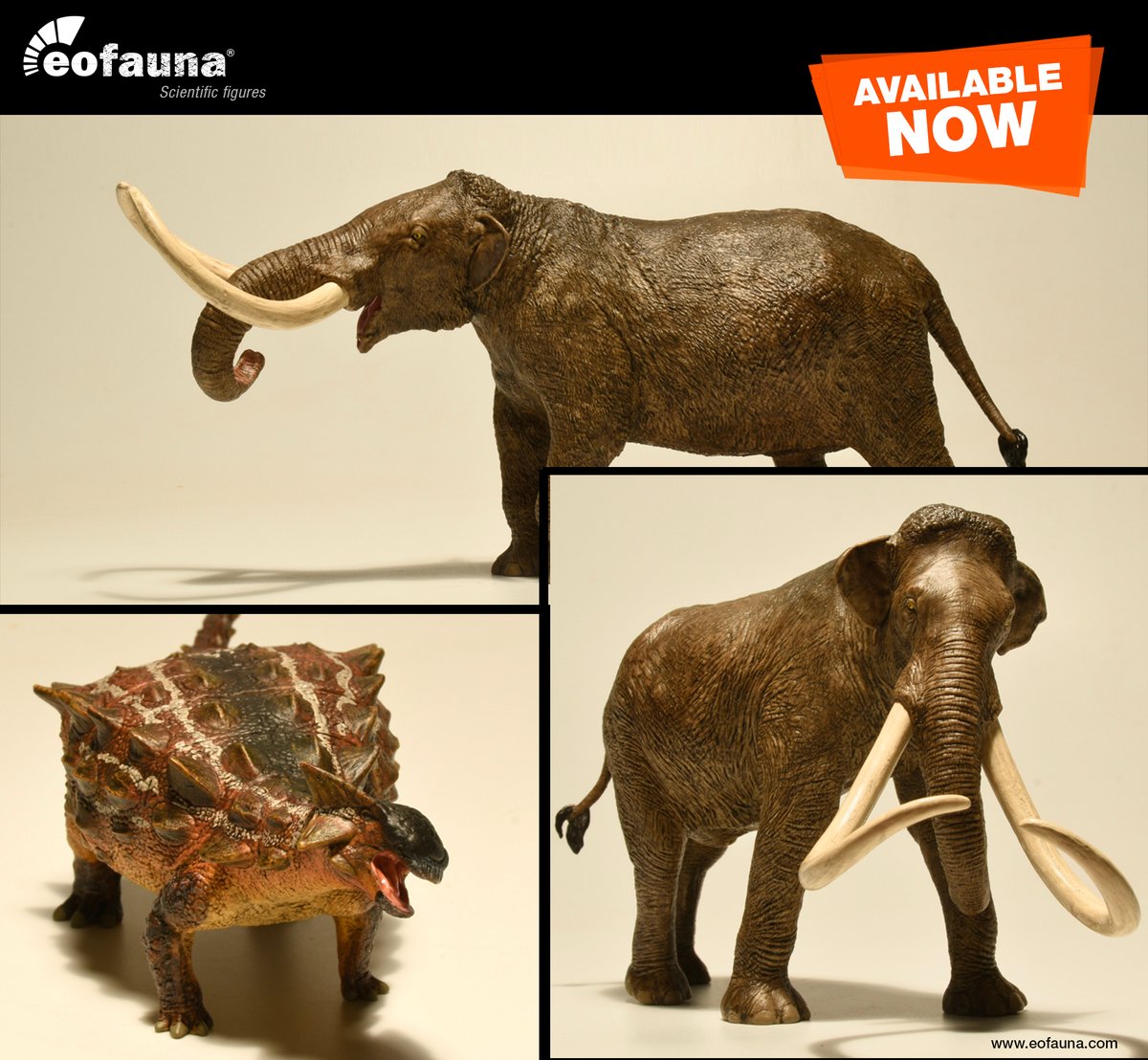 Eofauna Scientific Research (@eofauna) on Twitter photo The <a href="/Eofauna/">Eofauna Scientific Research</a> Columbian Mammoth, American Mastodon, and Ankylosaurus magniventris are AVAILABLE NOW in all regions!
eofauna.com/figures
Eofauna |Scientific Figures
#eofauna #ColumbianMammoth #AmericanMastodon
#Ankylosaurusmagniventris The <a href="/Eofauna/">Eofauna Scientific Research</a> Columbian Mammoth, American Mastodon, and Ankylosaurus magniventris are AVAILABLE NOW in all regions!
eofauna.com/figures
Eofauna |Scientific Figures
#eofauna #ColumbianMammoth #AmericanMastodon
#Ankylosaurusmagniventris
