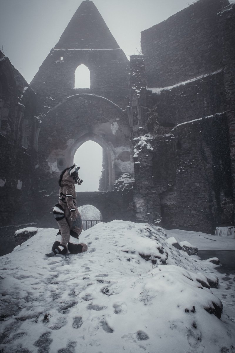 Waiting for warm weather, the first rays of sunshine, chirping birds ...

📸 <a href="/Othala_KNTR/">Othala</a>