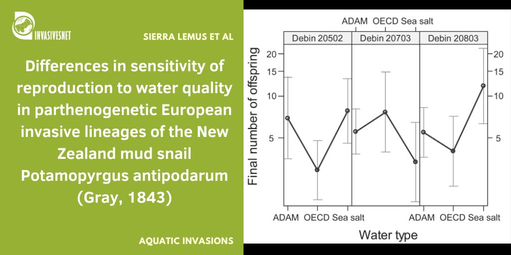 Invasivesnet's tweet image. Reproduction of the New Zealand mud snail is sensitive to the composition of the water. Thus, water composition is a factor that cannot be neglected in lab experiments. Open access 👇  buff.ly/4h1OXRt
#INVASIVESNET #AI #AquaticInvasions