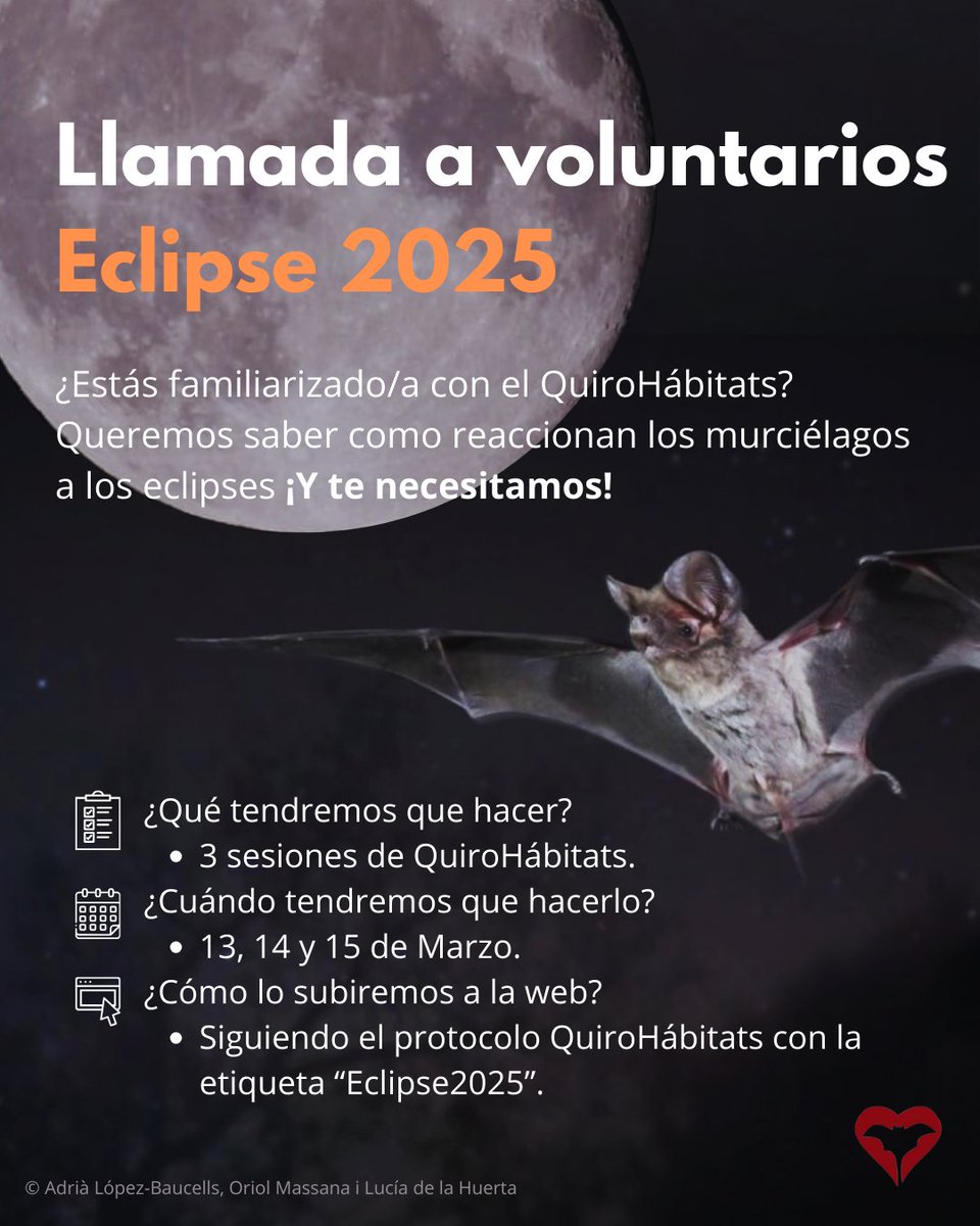 ¡Este 14 de marzo de 2025 hay un eclipse lunar total visible a toda la Península Ibérica! 🌚🌍☀️ Un fenómeno natural poco frecuente y como ya os podéis imaginar, poder estudiar la influencia que puede tener en los #murciélagos no es algo que se pueda hacer cualquier día! 🦇