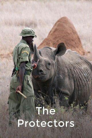 On this #WorldWildlifeDay2025 please take a moment to remember the #African #wildlife defenders who risk and too often lose their lives in the fight against #poaching and illegal #wildlife trafficking - salute #wildlife warriors 🫡🙏

📸 African Wildlife Foundation