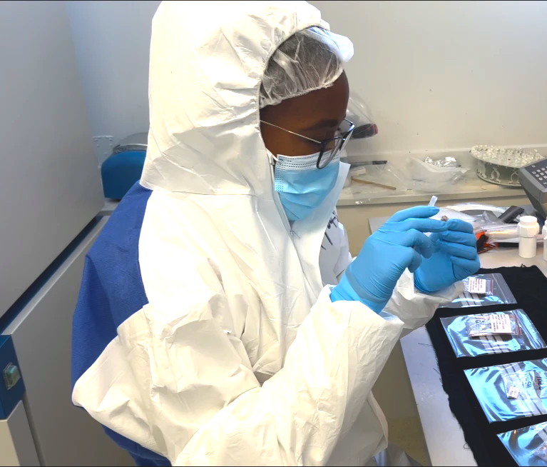 HERI (@heri_uct) on Twitter photo "I carried a three-million-year-old tooth in my hand luggage.”
Our Palesa Madupe (<a href="/PalaeoP/">PalaeoProtPalesa</a>) shares how palaeoproteomics is uncovering secrets of ancient South African hominins. #womeninscience
Read the full story: bit.ly/3D877D4 "I carried a three-million-year-old tooth in my hand luggage.”
Our Palesa Madupe (<a href="/PalaeoP/">PalaeoProtPalesa</a>) shares how palaeoproteomics is uncovering secrets of ancient South African hominins. #womeninscience
Read the full story: bit.ly/3D877D4