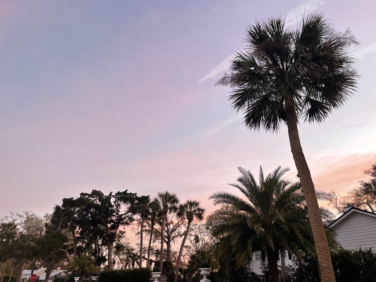 Peggy M. Johnson tweet media