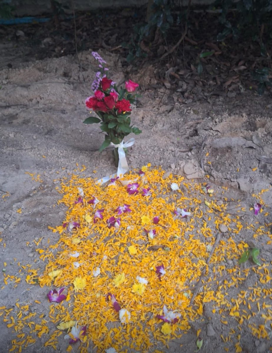 NiallHarbison's tweet image. Sadly this morning Jimmy took a turn for the worse and went downhill fast. He passed at about 11am surrounded by love and his mum. 

He didn’t like being alone and I’m happy to say we had someone with him 90% of the 4 days he was with us. People took turns sitting and sleeping…