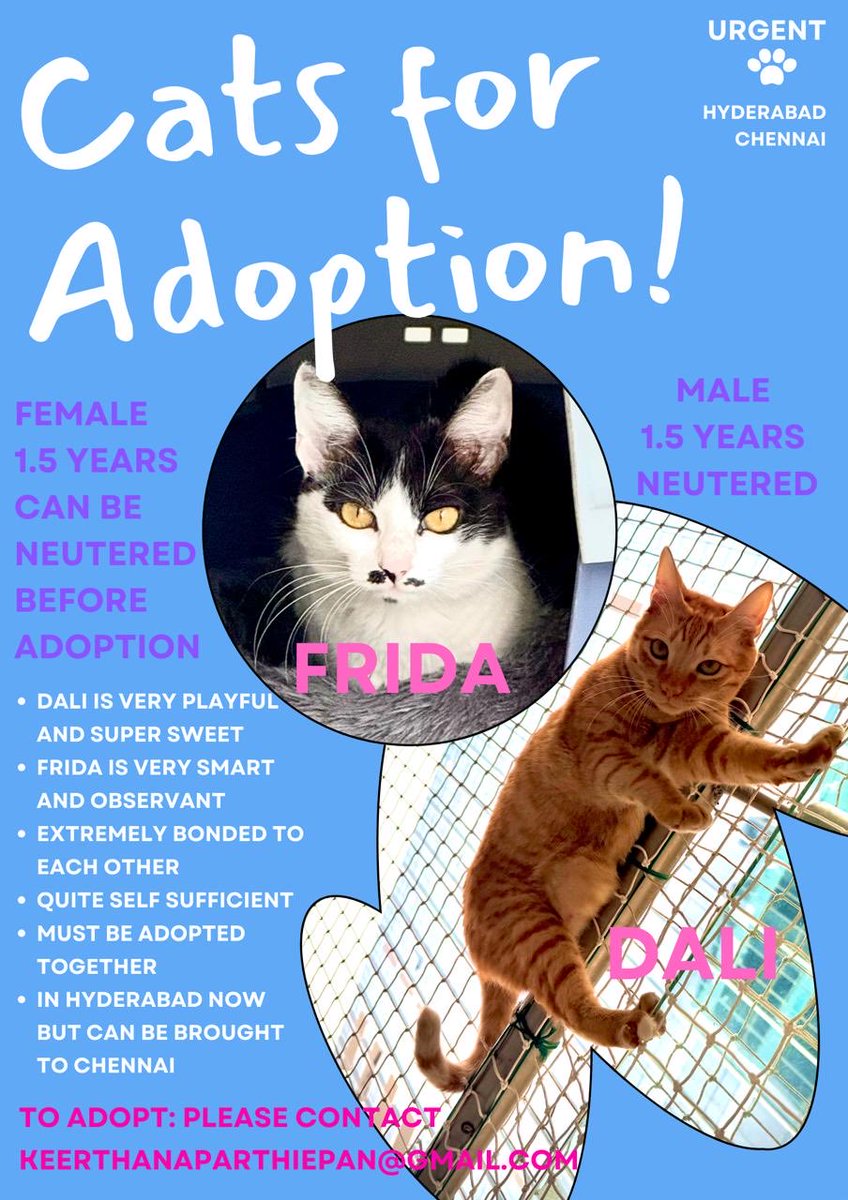 sreekar prasad (@sreekar_prasad) on Twitter photo  sreekar prasad (@sreekar_prasad) on Twitter photo