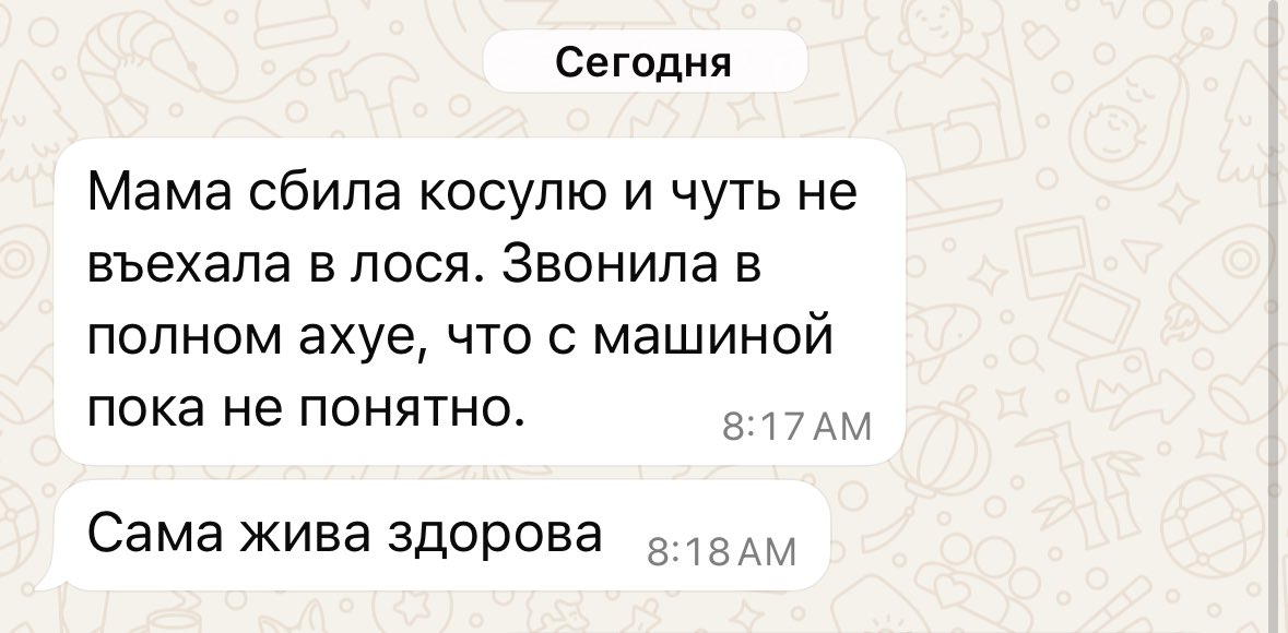 Косуля в порядке, побежала дальше без повреждений… Прелести жизни в деревне…