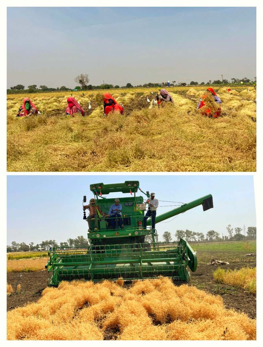 Ashutosh Kumar Yadav tweet media