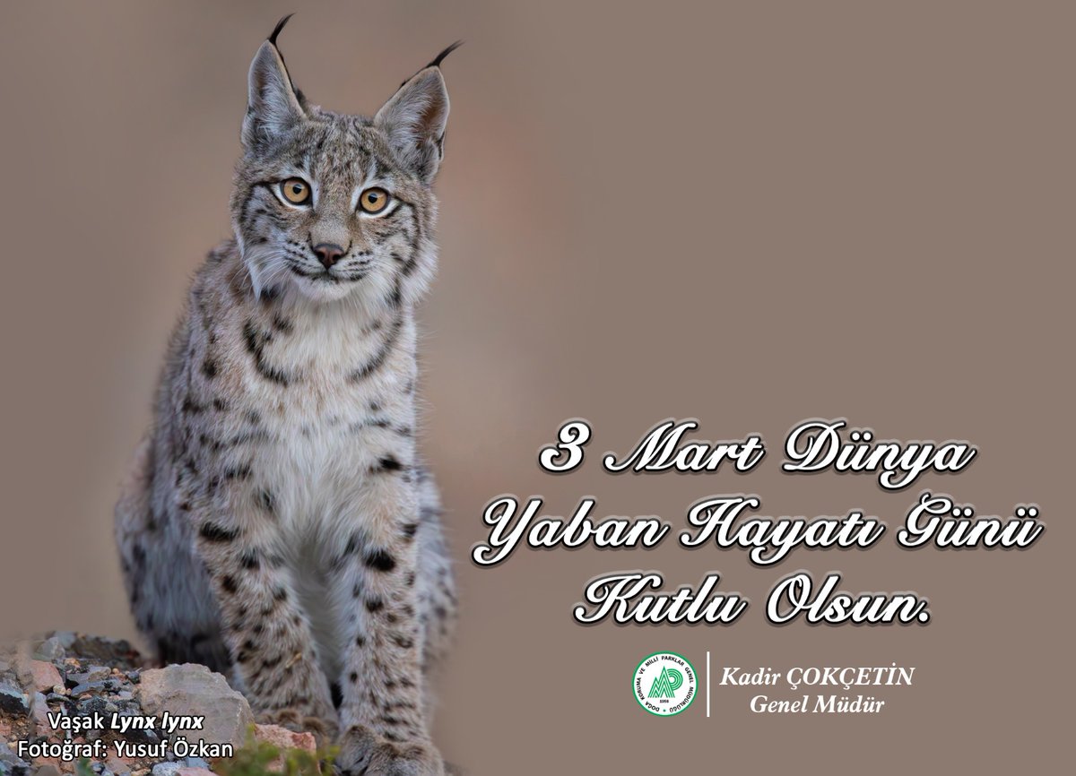 "3 Mart Dünya Yaban Hayatı Günü"🌿🦉🐆  

Bugün, doğal yaşamın korunmasına dikkat çekmek ve farkındalık oluşturmak için önemli bir gün! 🌍✨  

Doğa Koruma ve Milli Parklar Genel Müdürlüğü olarak, yaban hayvanlarının doğal yaşam alanlarında korunması, izlenmesi ve gerektiğinde