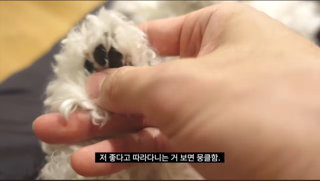 내말이🥹강즤자식 둔 부모는 다 똑같나바