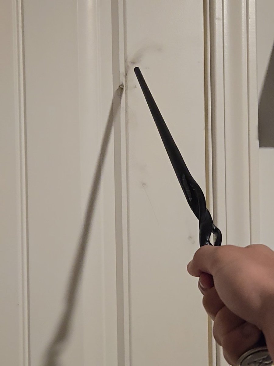 StarShadeAlt's tweet image. FIREBALL!!! 🔥🔥🔥🔥