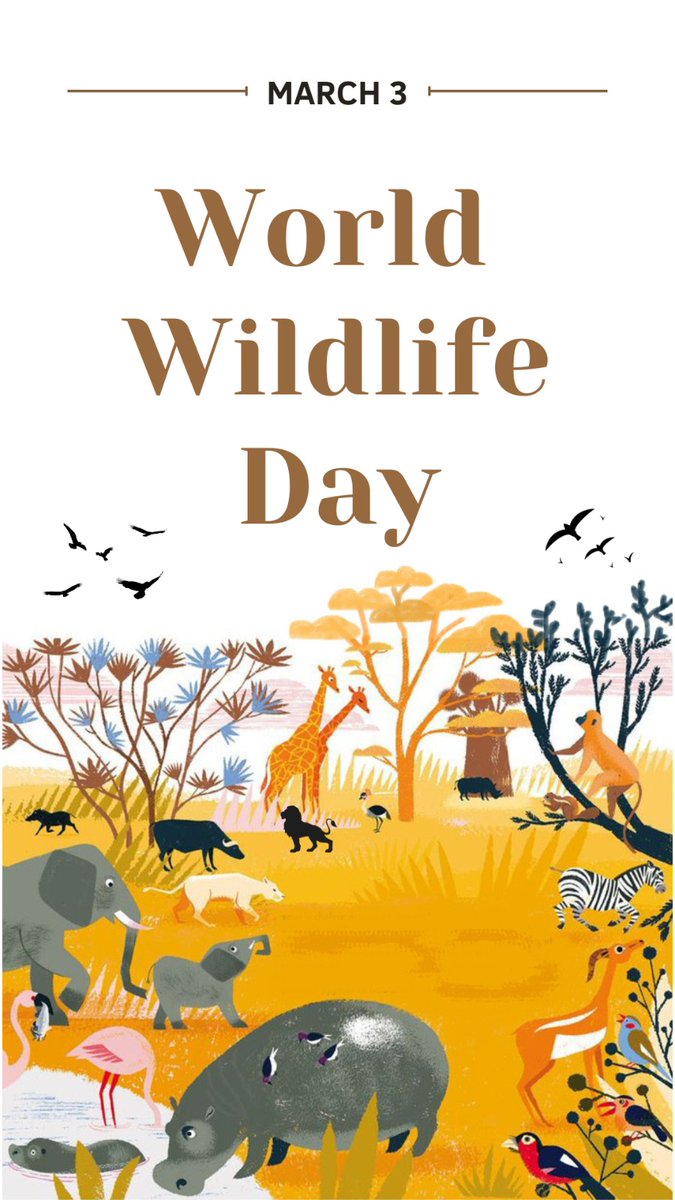 #wildlife #WorldWildlifeDay #WildlifeConservation
