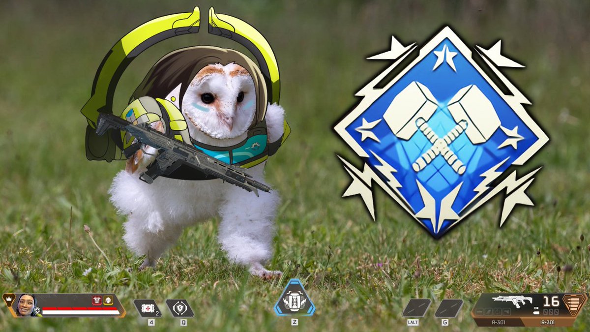 あかめいん tweet media