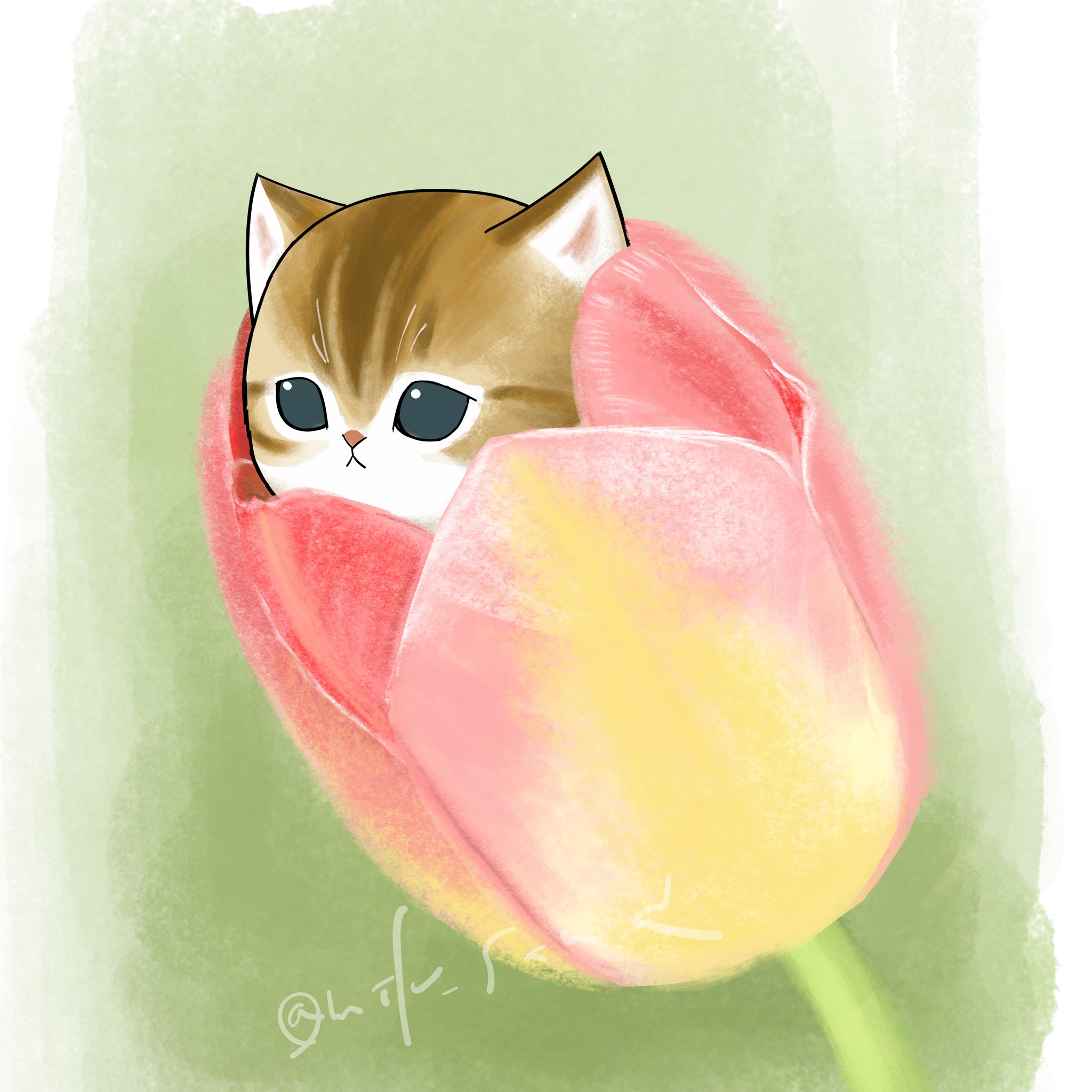 にゃんちゅ ぢゅの🐈 on X: 