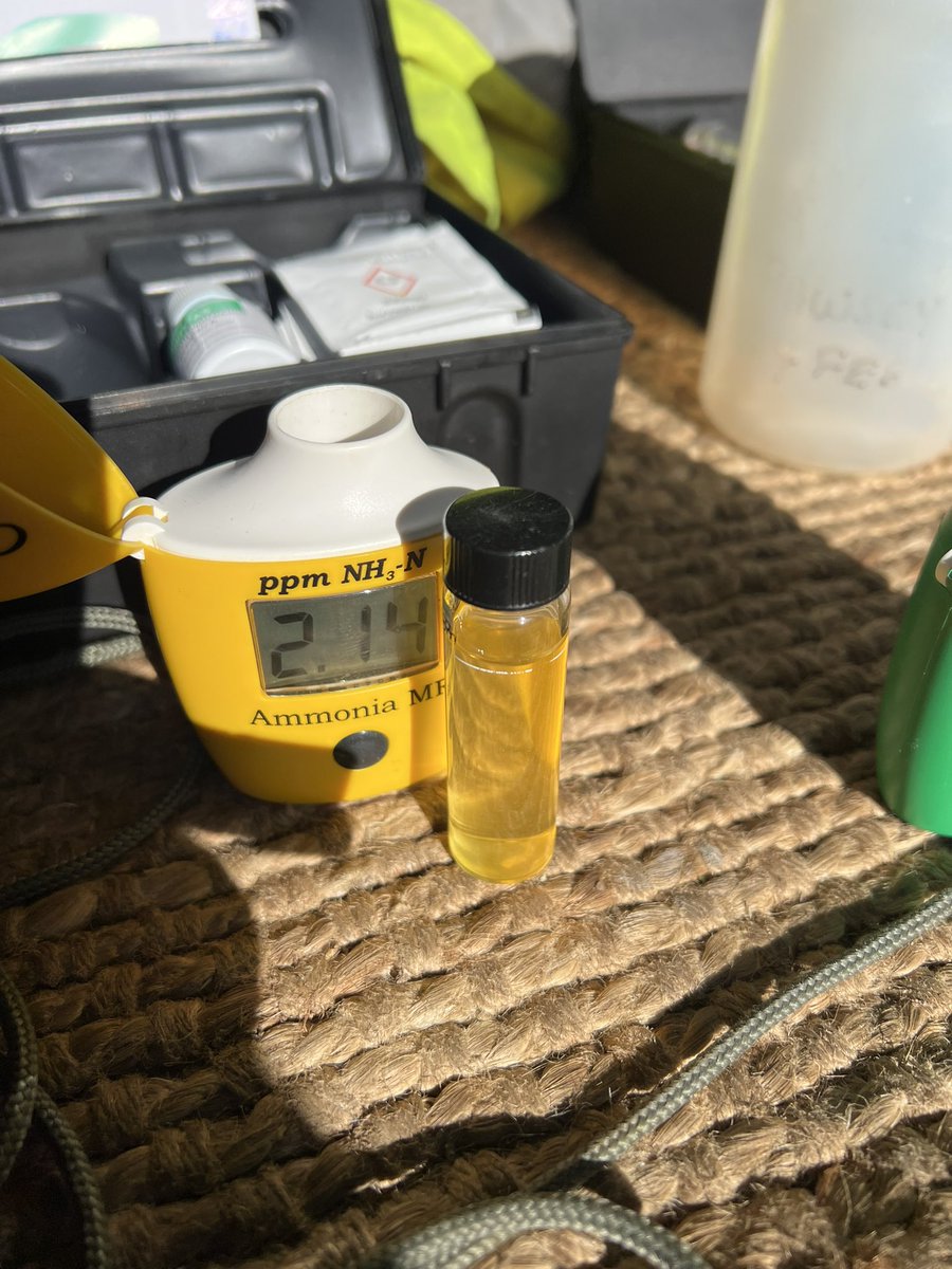 Russell ChalkStreamsInCrisis 🦇🦎🦇🦎 tweet media