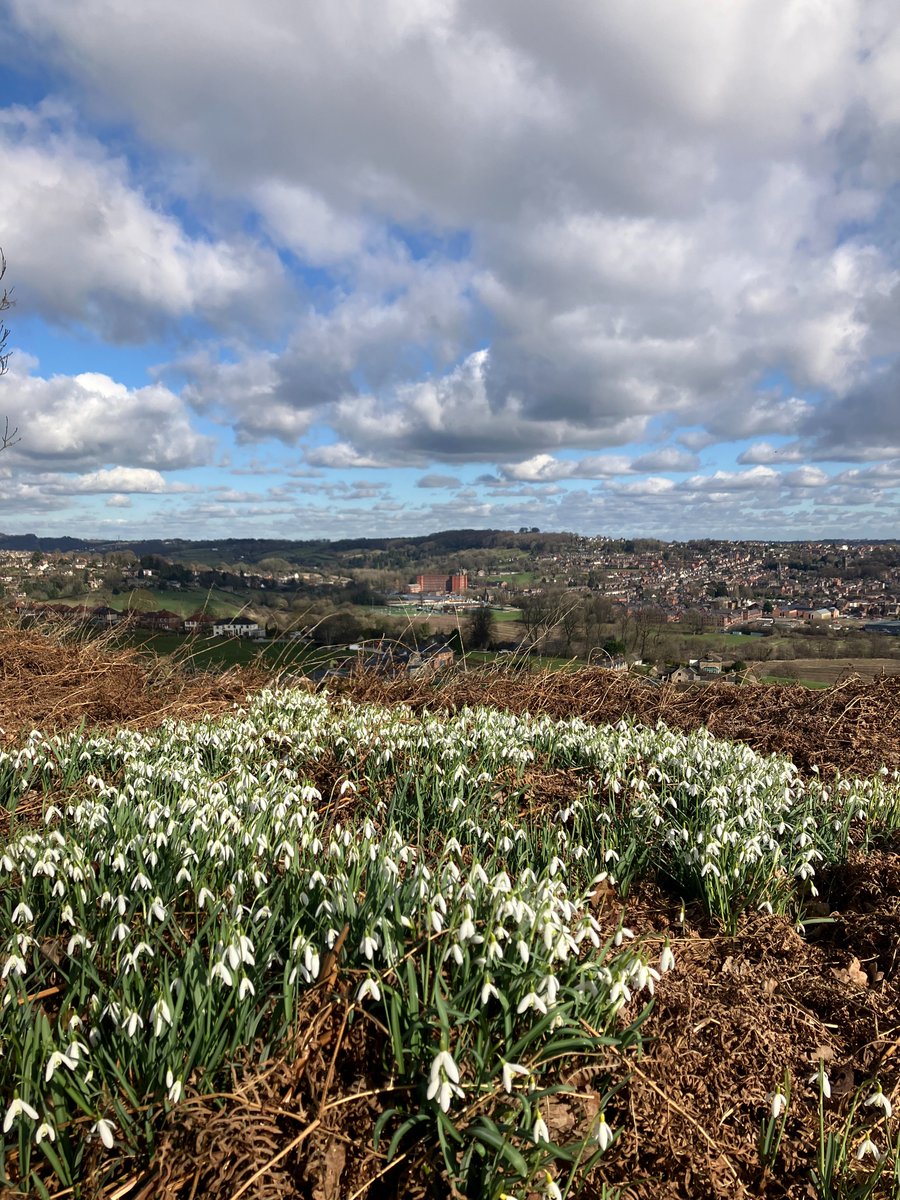 Derwent Valley Line tweet media