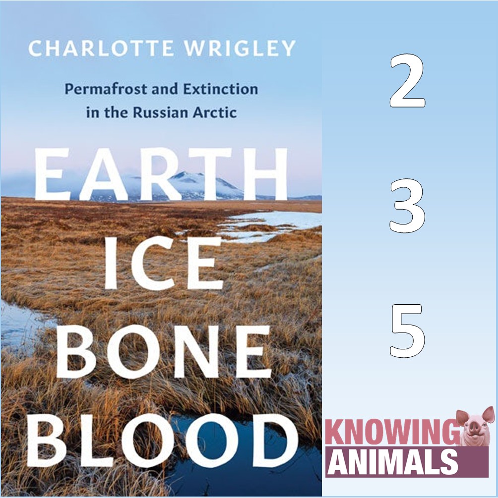 New episode! <a href="/JoshLMilburn/">Josh Milburn</a> speaks to Dr Charlotte Wrigley (University of Stavanger) about mammoths, and especially her <a href="/UMinnPress/">U of MN Press</a> book Earth, Ice, Bone, Blood: Permafrost and Extinction in the Russian Arctic. Available in all the usual places.

knowinganimals.libsyn.com/episode-235-ma…