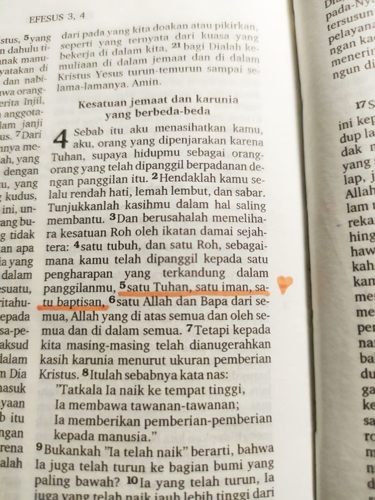 🦊 tweet media