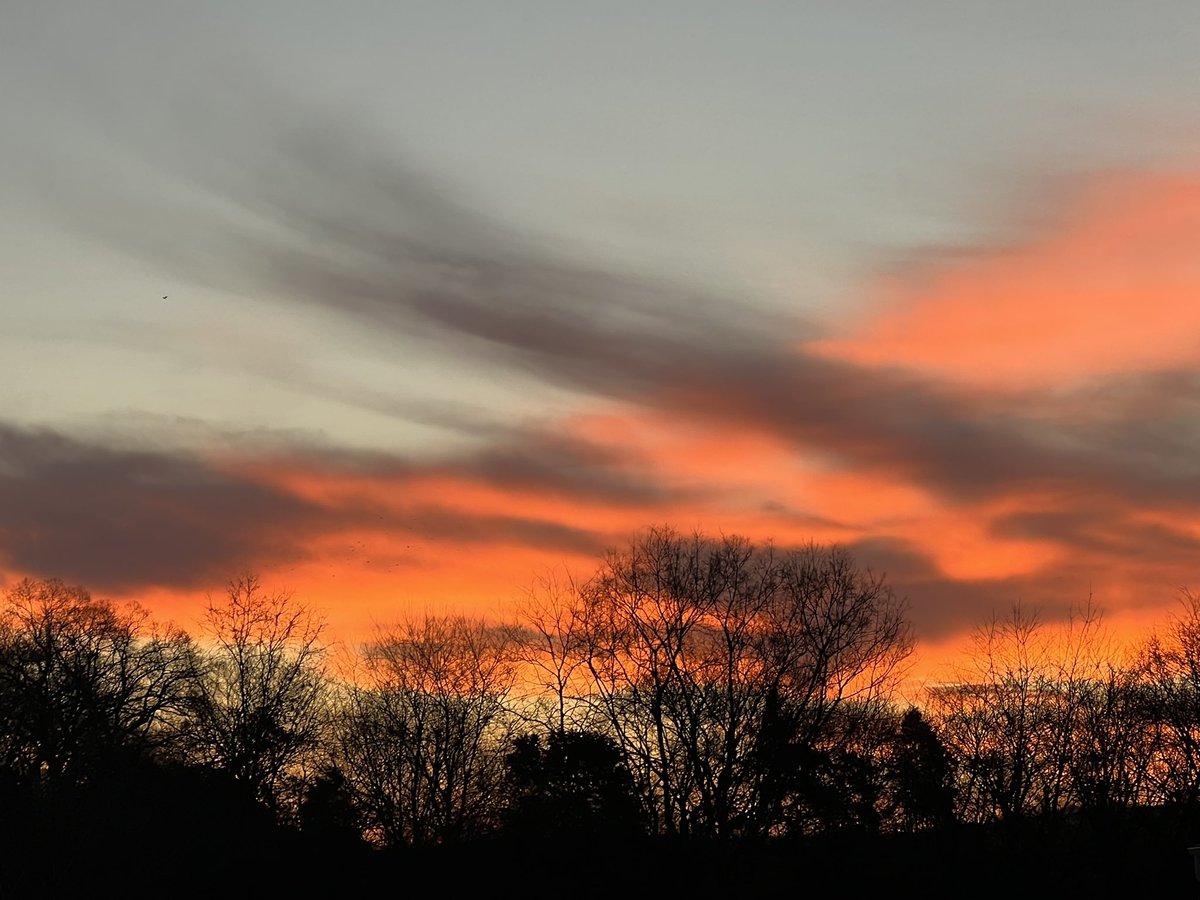 Angel Mason (@_realad_) on Twitter photo Sunrises bring new opportunities. How will you seize the day? #Rise #SkiesTheLimit Sunrises bring new opportunities. How will you seize the day? #Rise #SkiesTheLimit