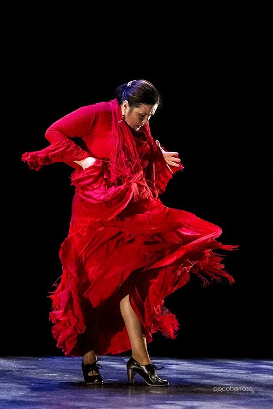 Revista ZocoFlamenco tweet media