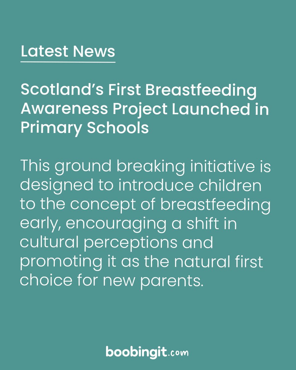 boobingit tweet media